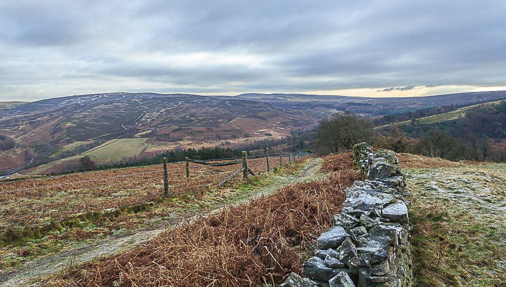 Wild Moor